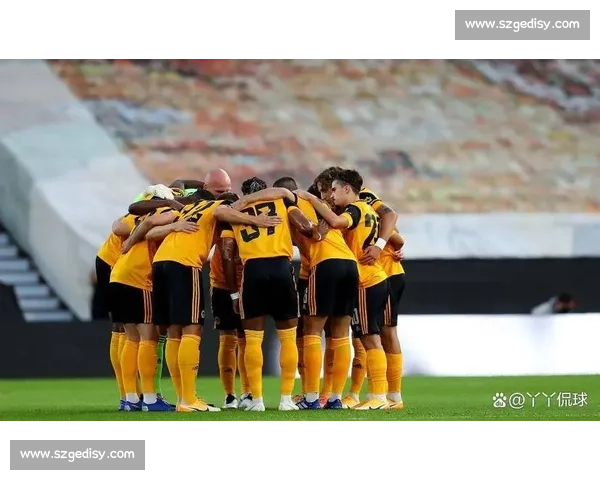 狼队官宣费尔 - 洛佩斯加盟 2300 万欧 + 200 万浮动签西班牙新星 狼队官宣费尔 - 洛佩斯加盟 2300 万欧 + 200 万浮动签西班牙新星