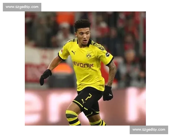 赫塔费免签黄潜老将费梅尼亚 签约两年补强右路